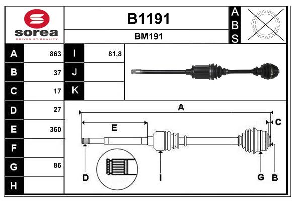 B1191