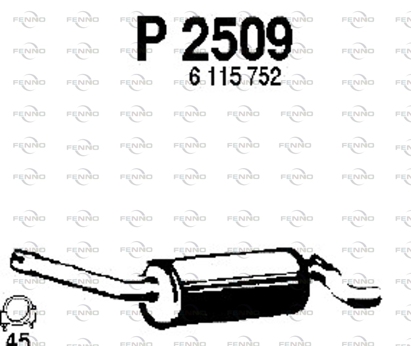 P2509
