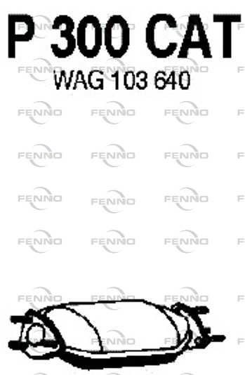 P300CAT