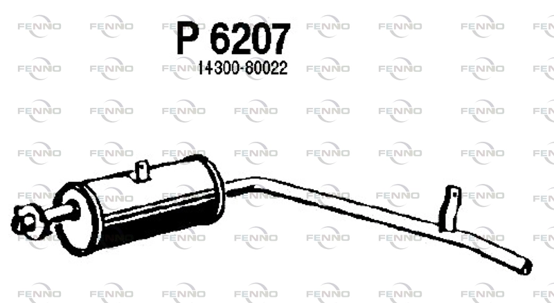 P6207
