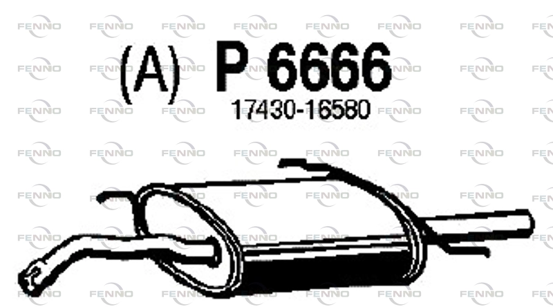 P6666
