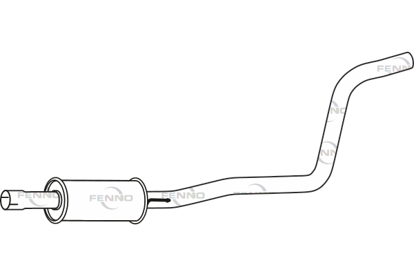 P29055