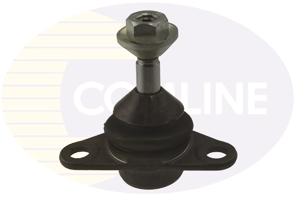 CBJ7029