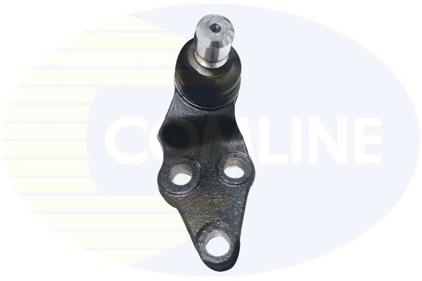 CBJ6034