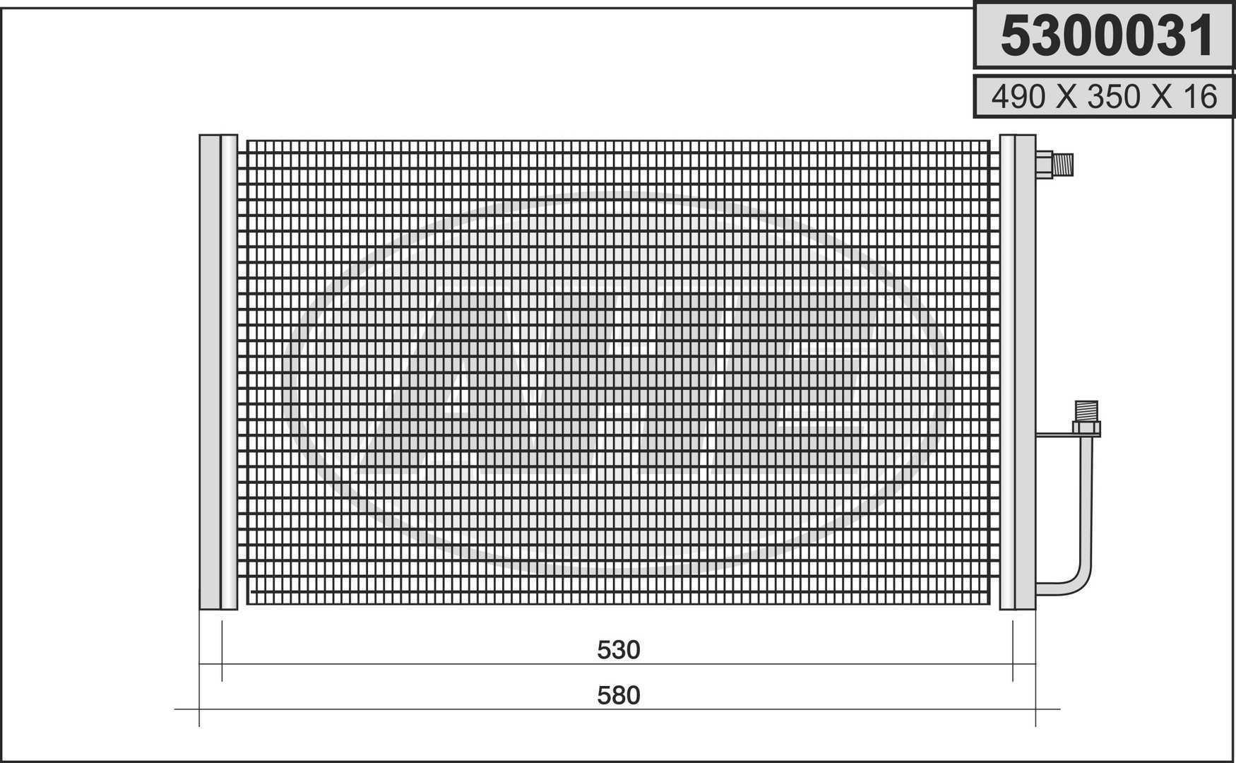 5300031