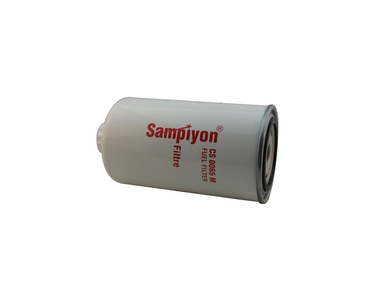 CS 0065 M