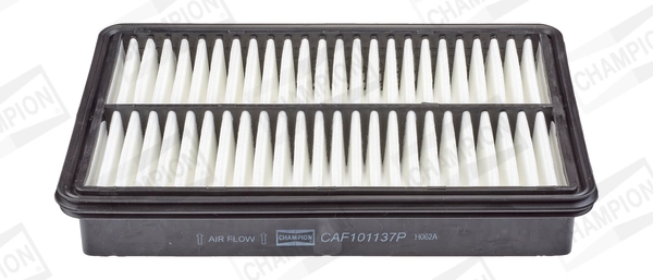 CAF101137P