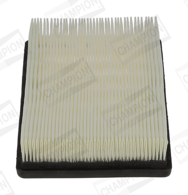 CAF100961P
