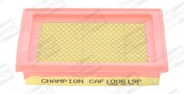 CAF100619P