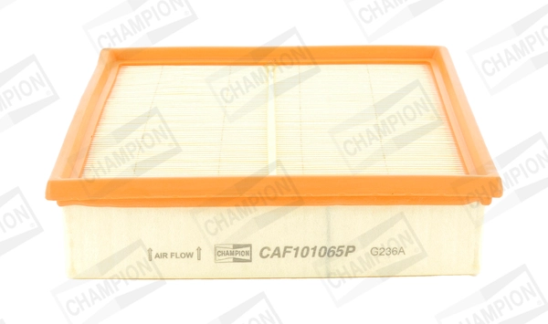 CAF101065P