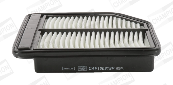 CAF100919P