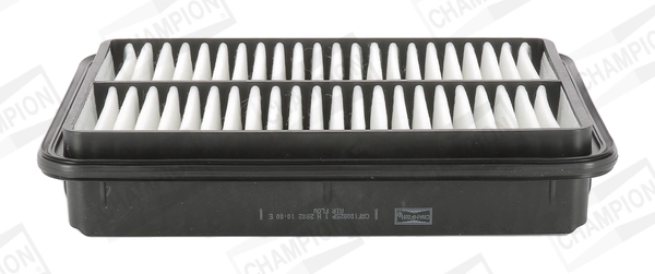 CAF100825P