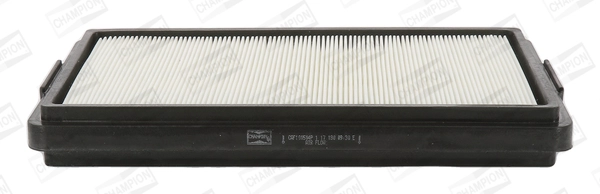 CAF100504P