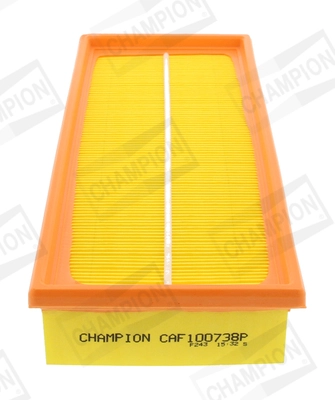 CAF100738P