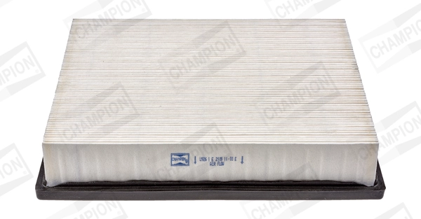 CAF100926P