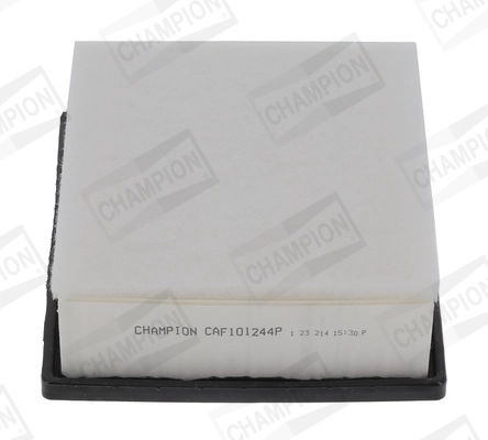 CAF101244P