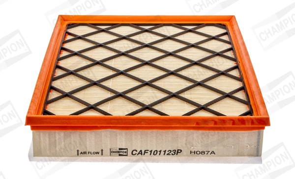 CAF101123P