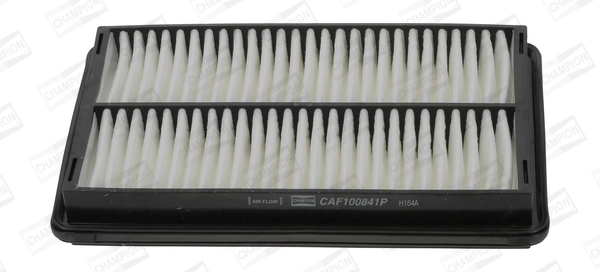 CAF100841P