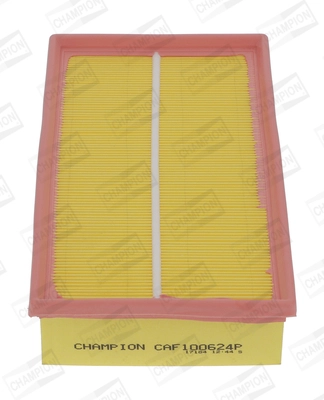 CAF100624P