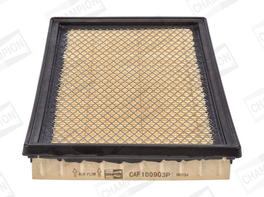 CAF100903P