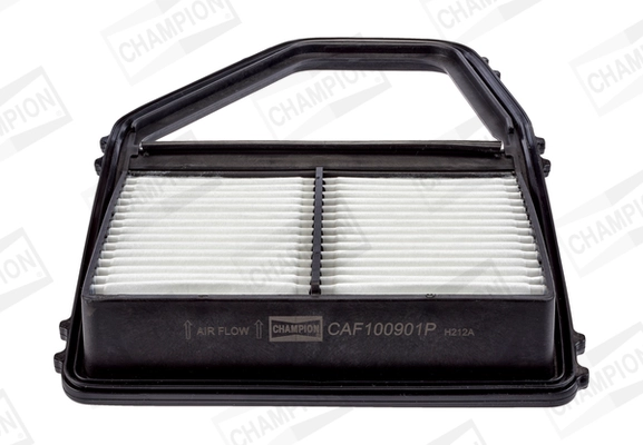 CAF100901P