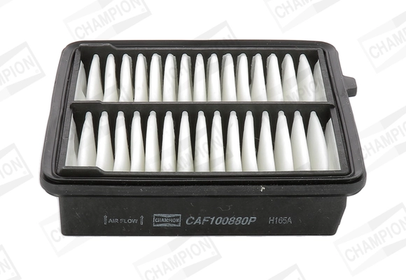 CAF100880P