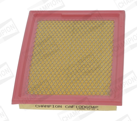 CAF100604P