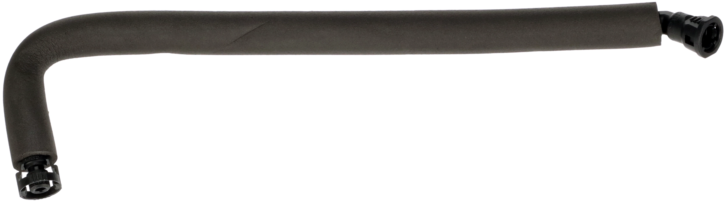 R19202