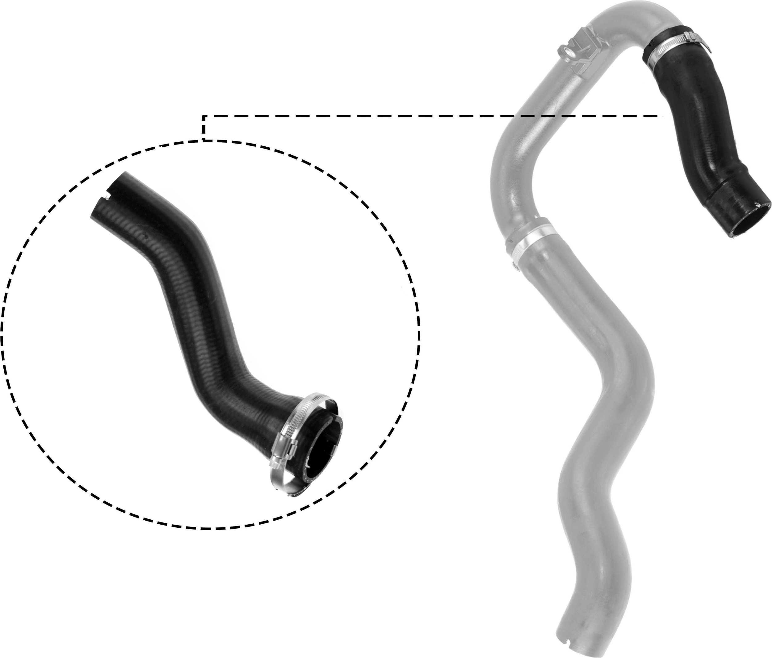 R11592