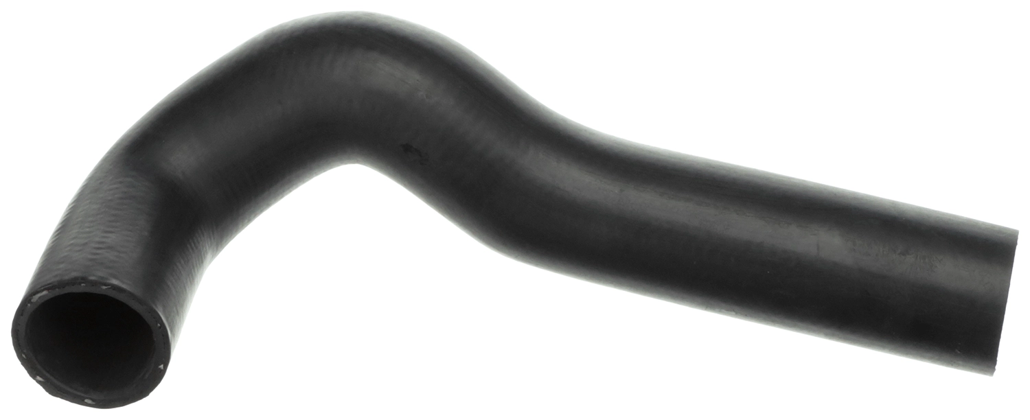 R19556