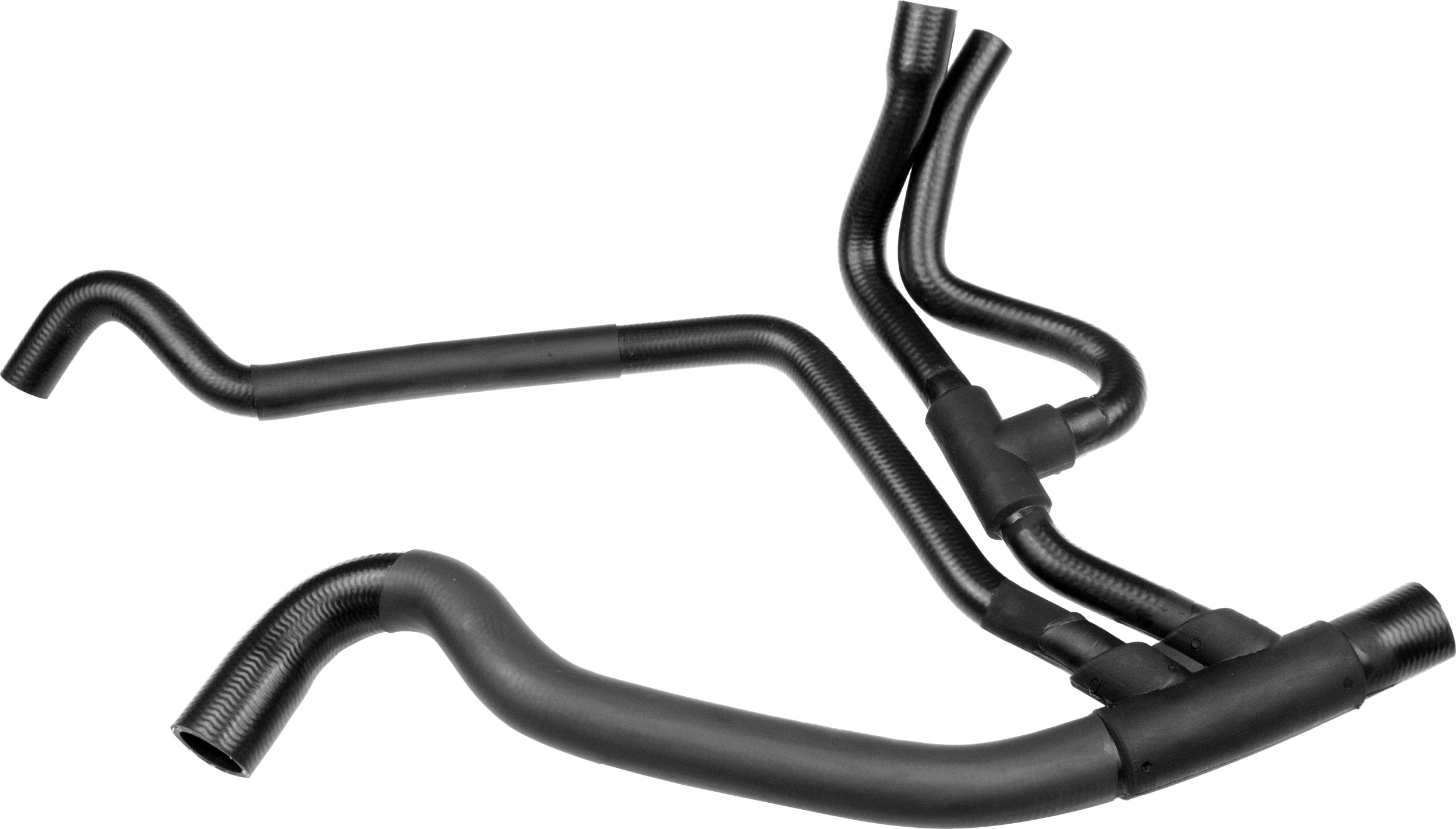 R12262