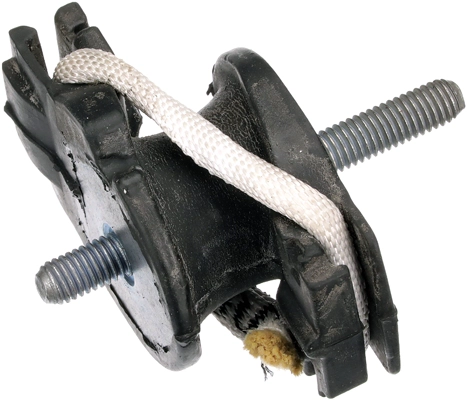 R55586