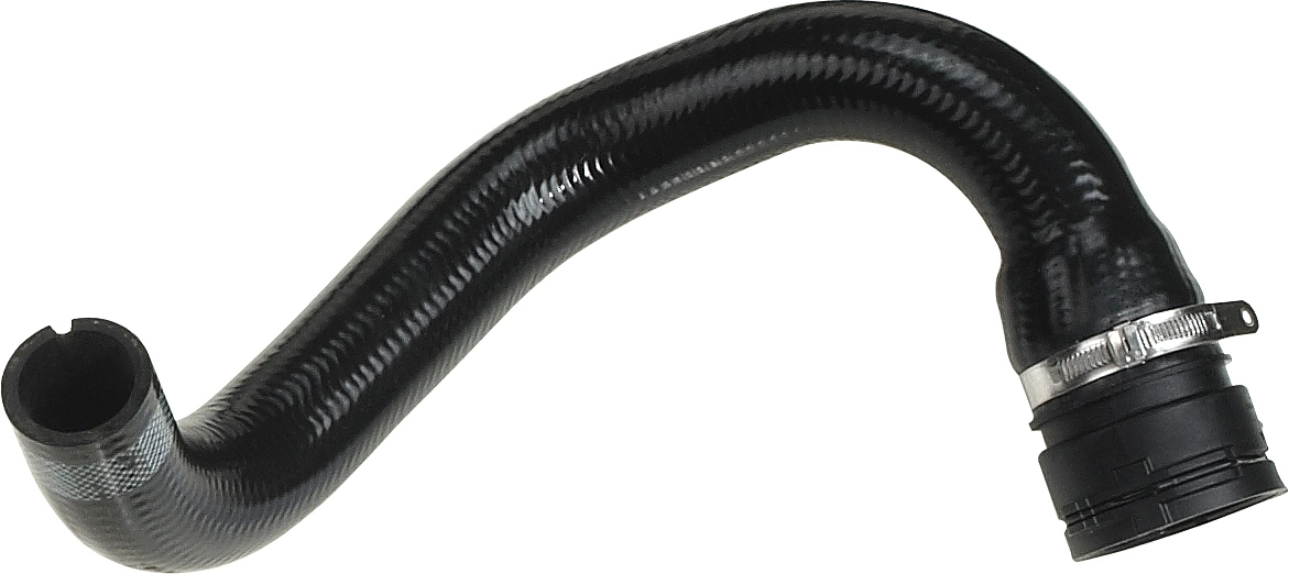 R11366