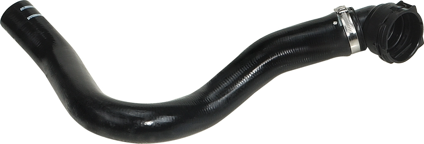 R11363