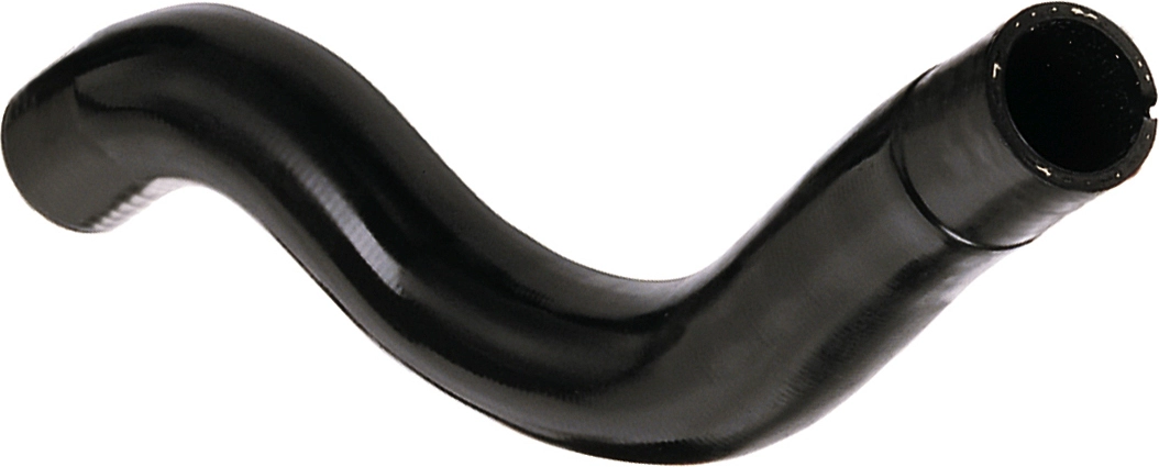 R11155