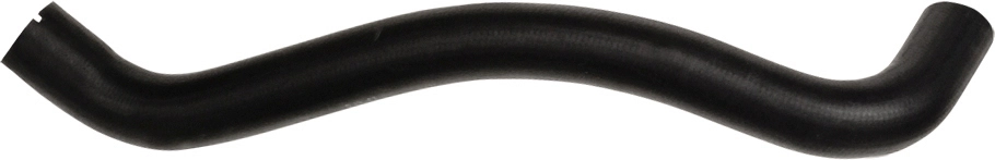 R11181