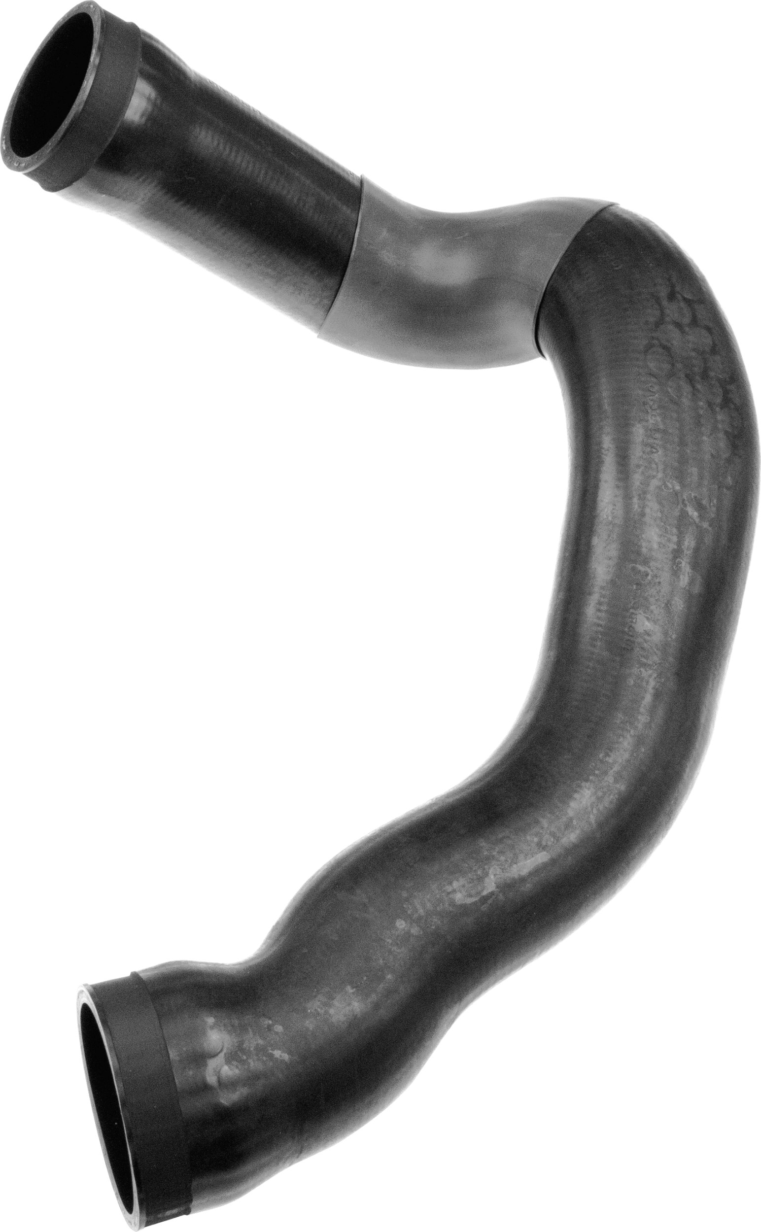 R25036