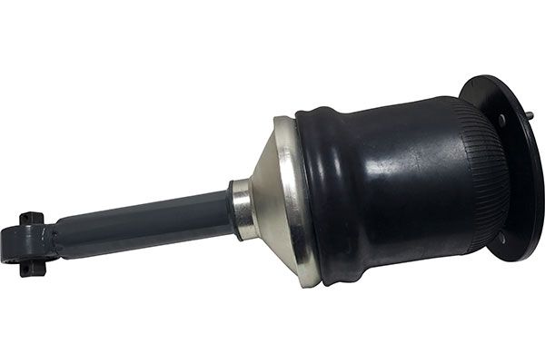 62005