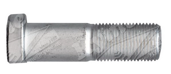 3144020071S2