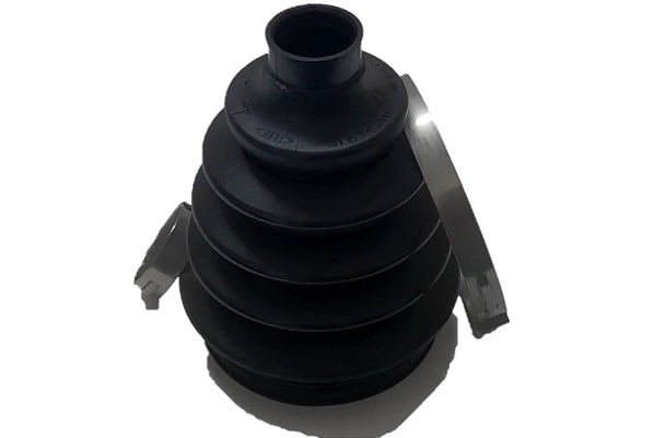 A020L2119