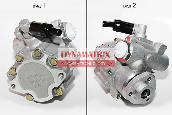 DPSP010