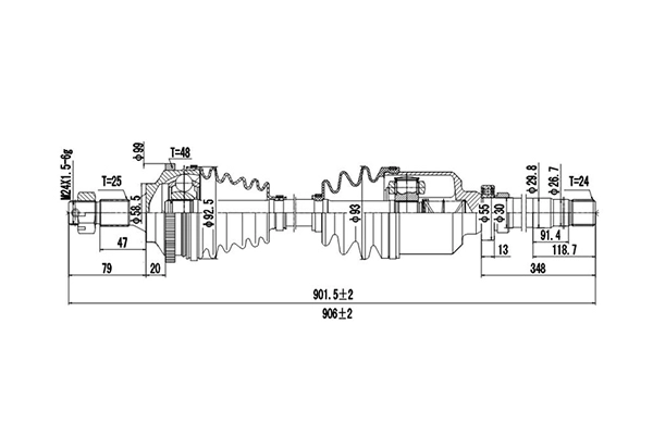 DDS245020