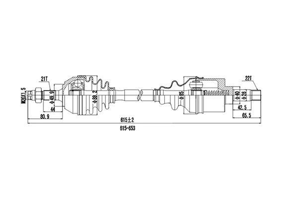 DDS210009
