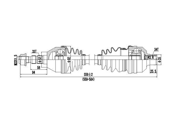 DDS244031