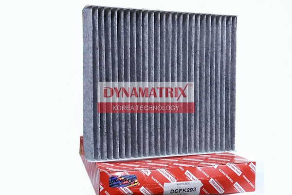 DCFK293