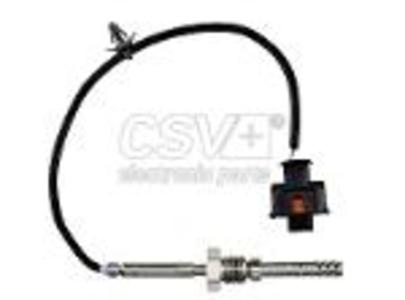 CST2290