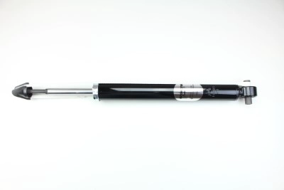 PSG2061