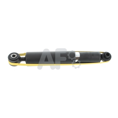 PSG2591
