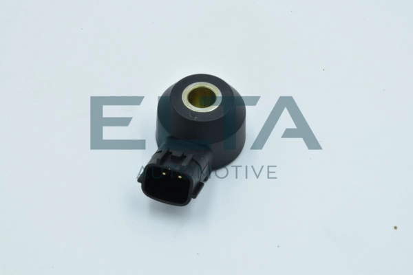 EE2455