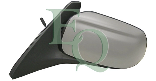 RS00599